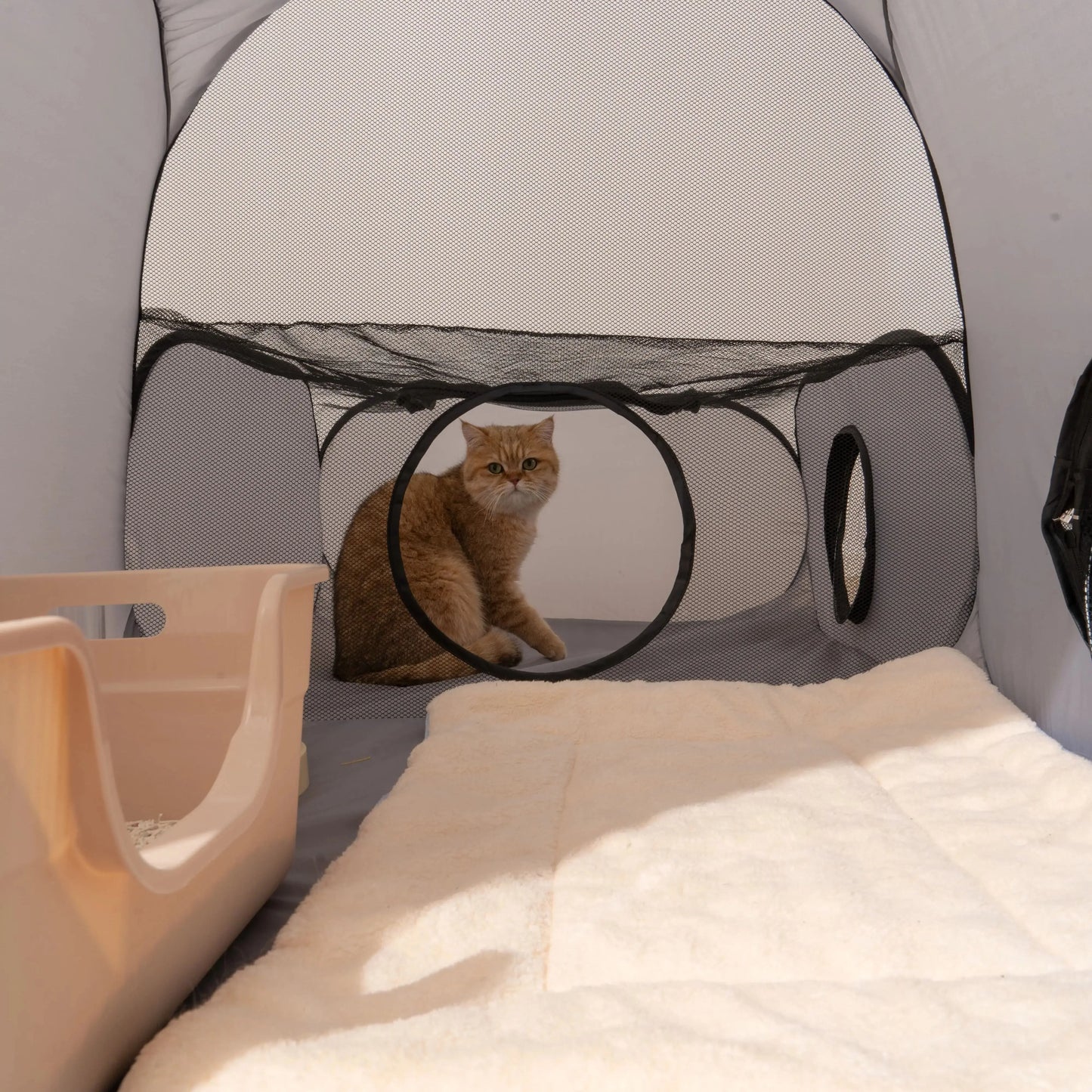 Hard Oxford Cloth Cats And Dogs Play Tunnel Nest Bed
