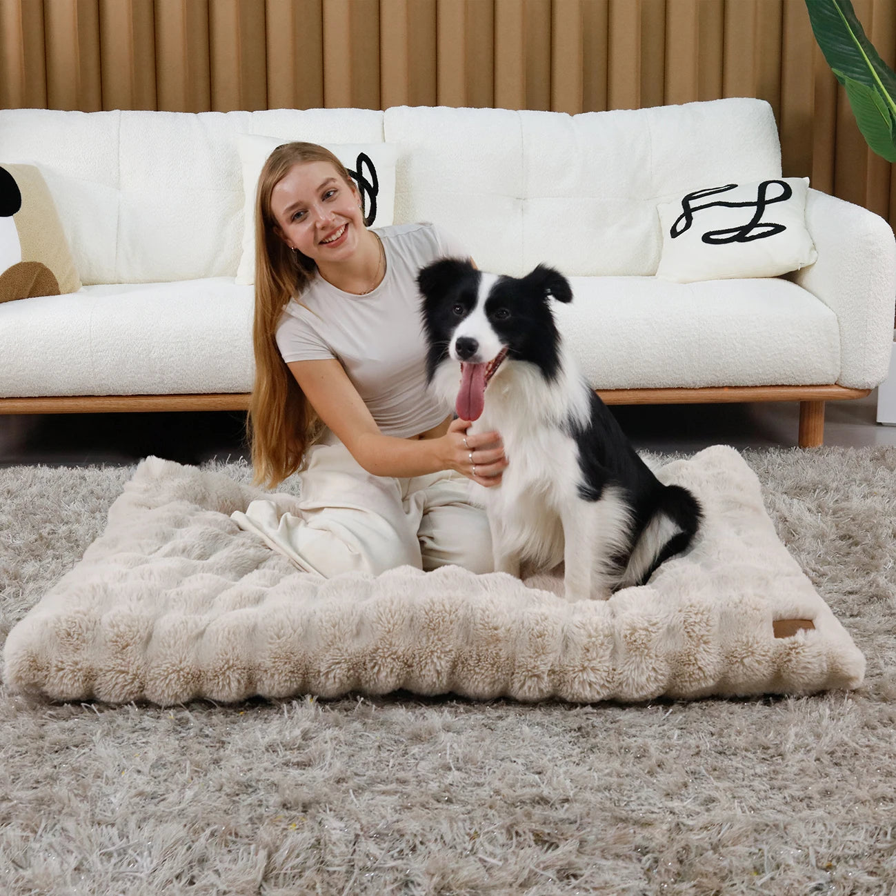 BINGOPAWCN Ultra Soft Plush Dog Bed With Thick Foam Base